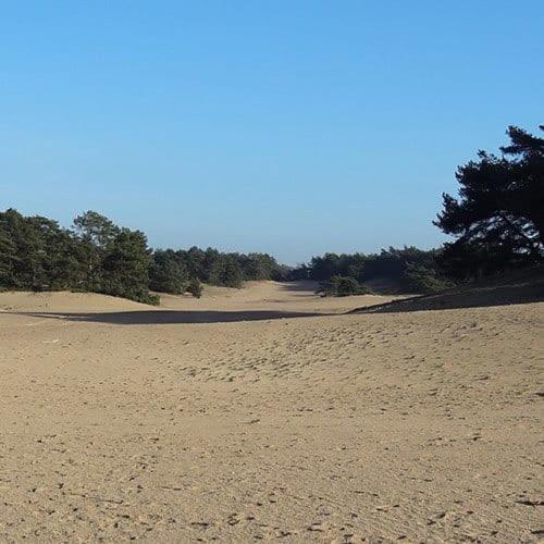 Vakantie Op De Veluwe Vila Lunteren Exterior foto