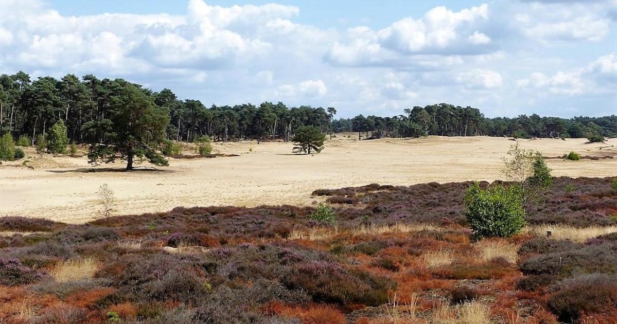 Vakantie Op De Veluwe Vila Lunteren Exterior foto